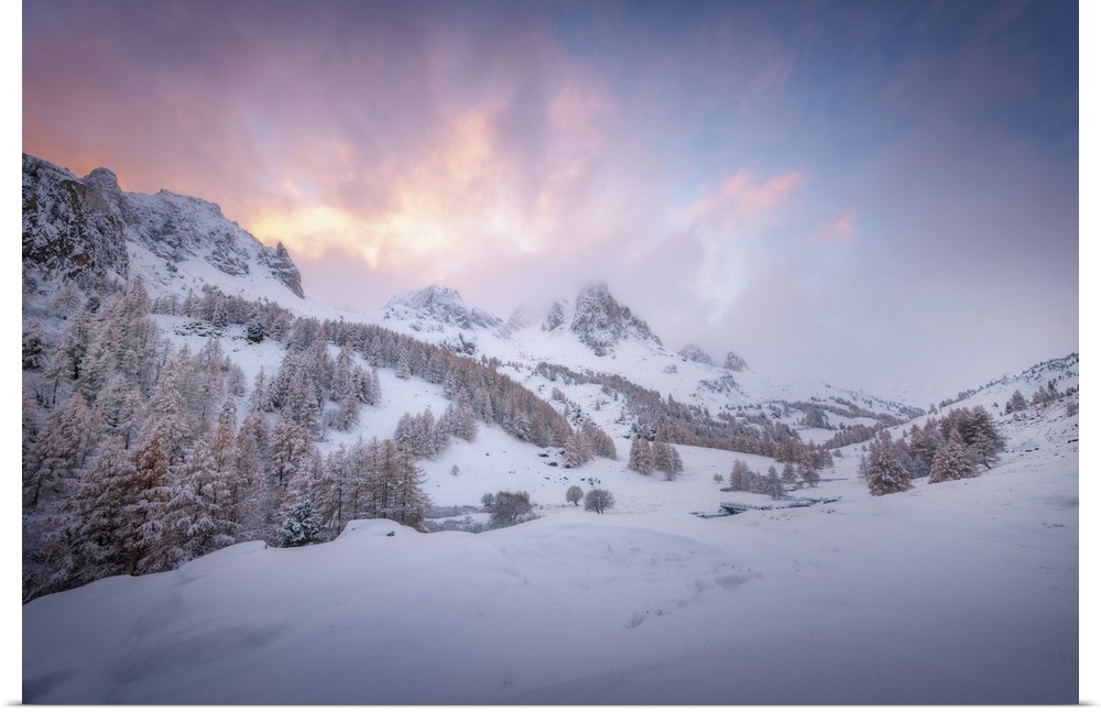 Colored sunset landscape scene on a snowy mountain in the Alpes in France. A pine valley in winter during a quiet moment.