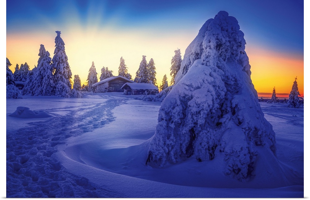 Sunset in the snowy mountain with fir trees and a hut