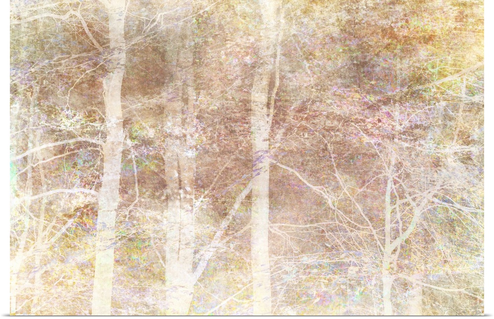 Pastel image of white trees in the fall.