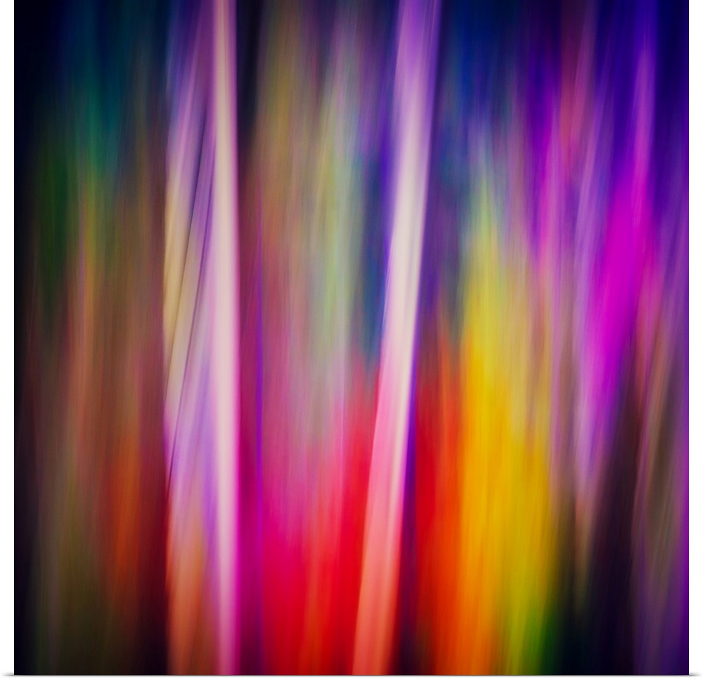Abstract photography - the image was made using the ICM (Intentional Camera Movement) technique. Trees in Fall, the colour...