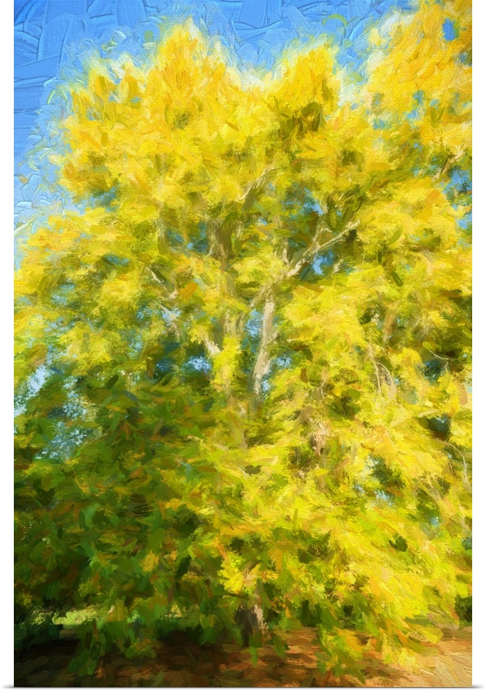 Yellow tree with expressionist photo or painterly effect