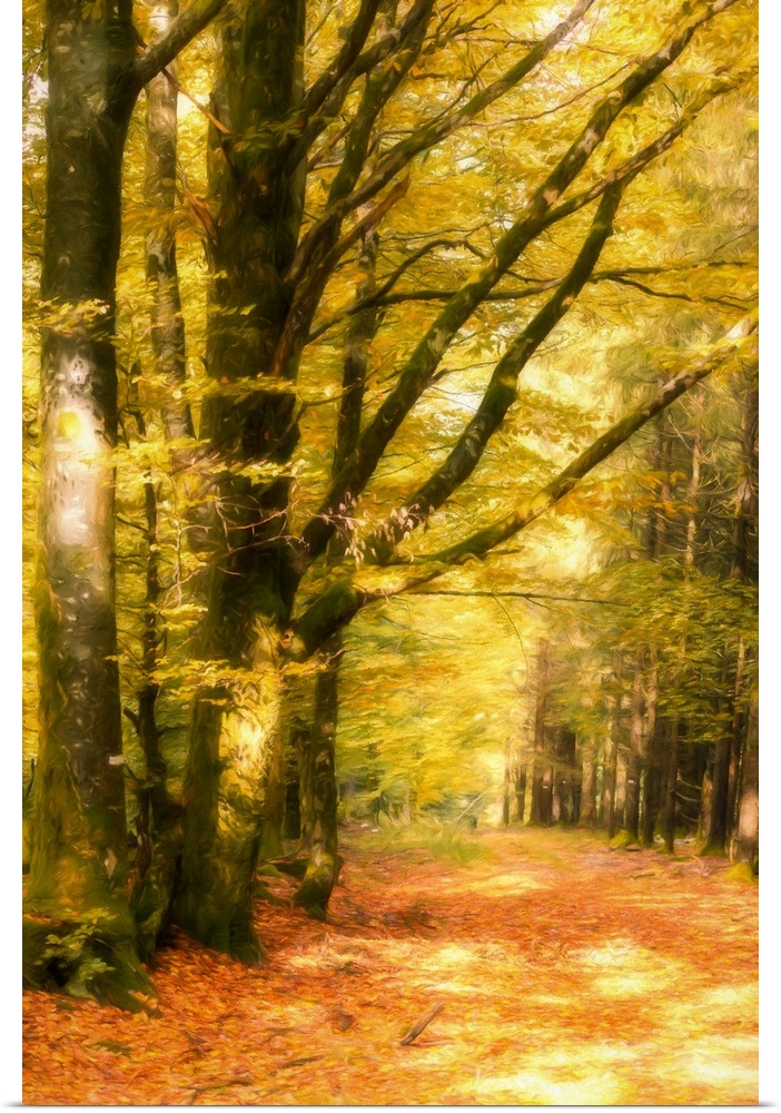 Vertical photograph with a painted feel, of Autumn woods with yellow leaves on the trees and red leaves on the ground.
