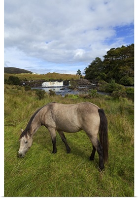 Aasleague Falls, Near Leenaun, County Galway, Ireland