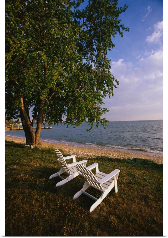 Tall print on canvas of two chairs sitting on grass facing the water with a tree next to them.