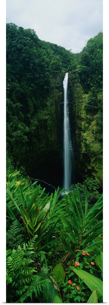 A waterfall plunges into a steep gorge surrounded by tropical jungle in this Hawaiian state park in this vertical wall art.