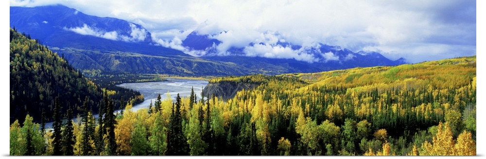 Alaska, Yukon River, Panoramic view of a landscape