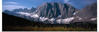 Alpine meadow near a lake, Floe Lake, Glacier National Park, British Columbia, Canada