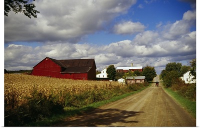 Amish farm buildings and corn field along country road, Ohio