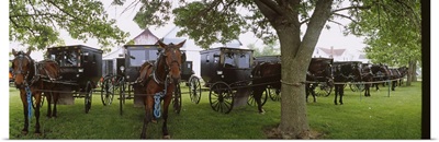 Amish horses and buggies parked at a farm, Arthur, Illinois
