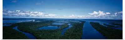 Anavilhanas Archipelago Rio Negro Amazon Brazil