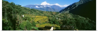 Annapurna Reg Nepal