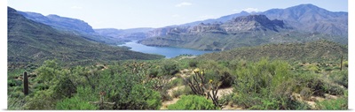 Apache Lake Sonoran Desert AZ