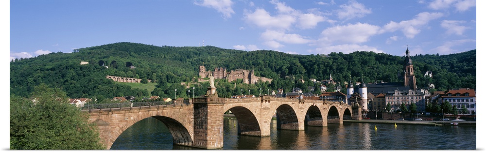 Arch bridge across a river, Neckar River, Heidelberg, Baden-Wurttemberg, Germany