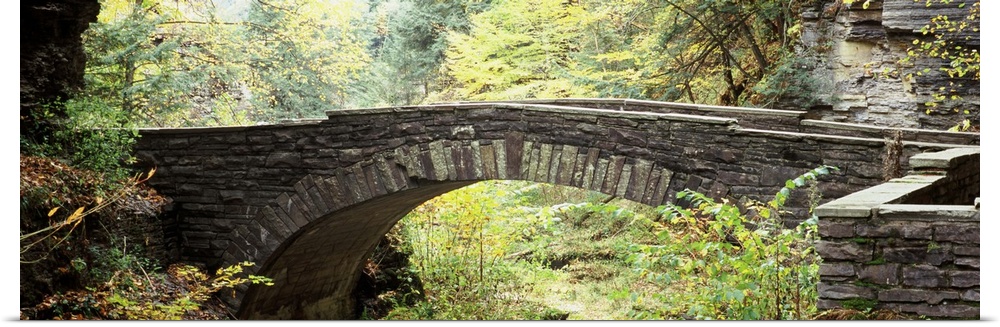 Arch bridge in a forest Robert H. Treman State Park Ithaca Tompkins County Finger Lakes New York State