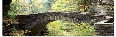 Arch bridge in a forest Robert H. Treman State Park Ithaca Tompkins County Finger Lakes New York State