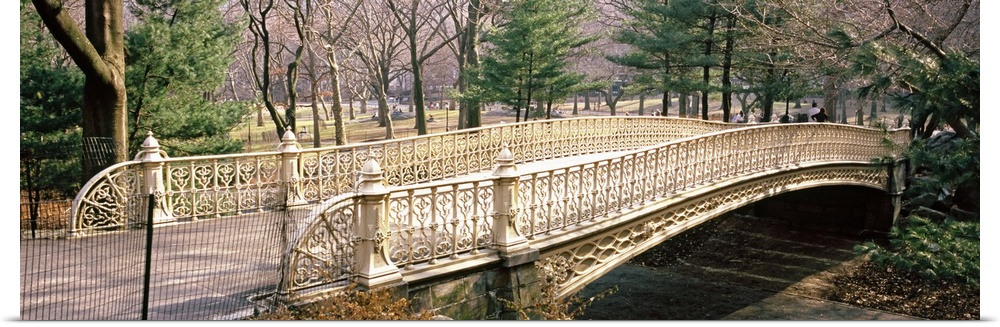 A walking bridge is photographed from the side with a view of the park just behind it.