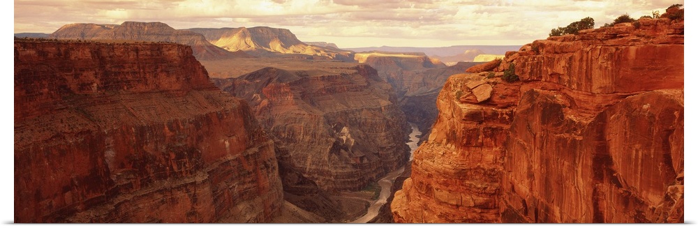 Panoramic, landscape photograph of the Grand Canyon beneath a golden sky, in Arizona, at Toroweap Point.