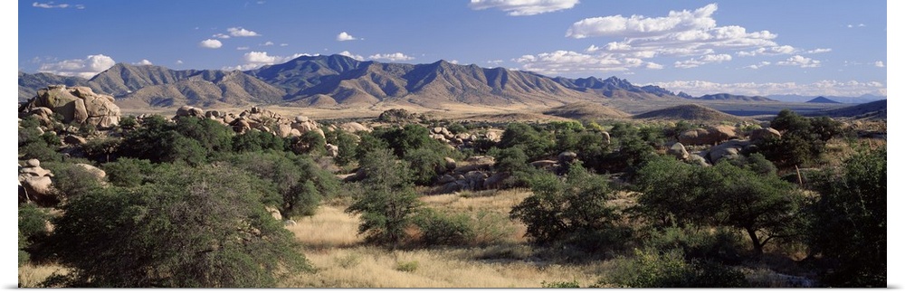 Arizona, Texas Valley, Dragoon Mountains, Clouded sky over arid landscape