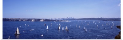 Australia,Sydney Harbor, yacht race