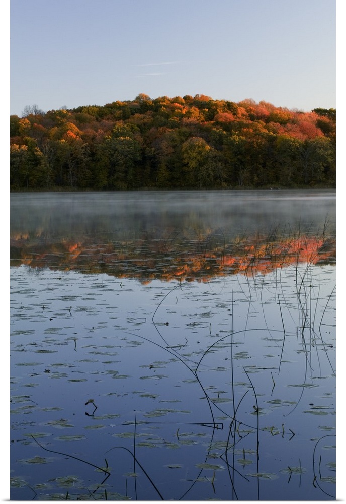 Autumn color forest reflected in Grass Lake, Maplewood State Park, Minnesota