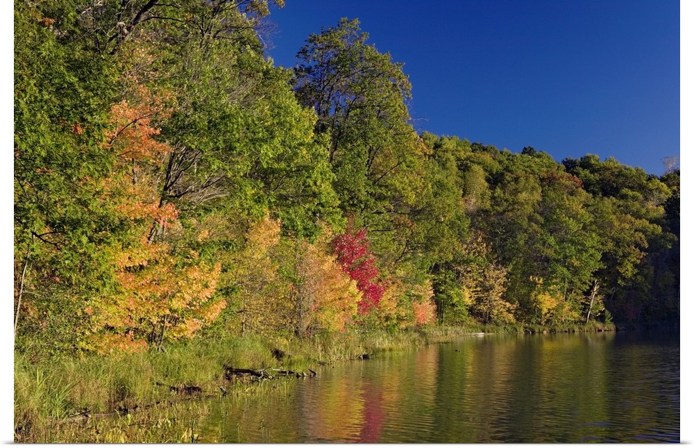 Autumn color trees along Beauty Lake shoreline, Pillsbury State Forest, Minnesota