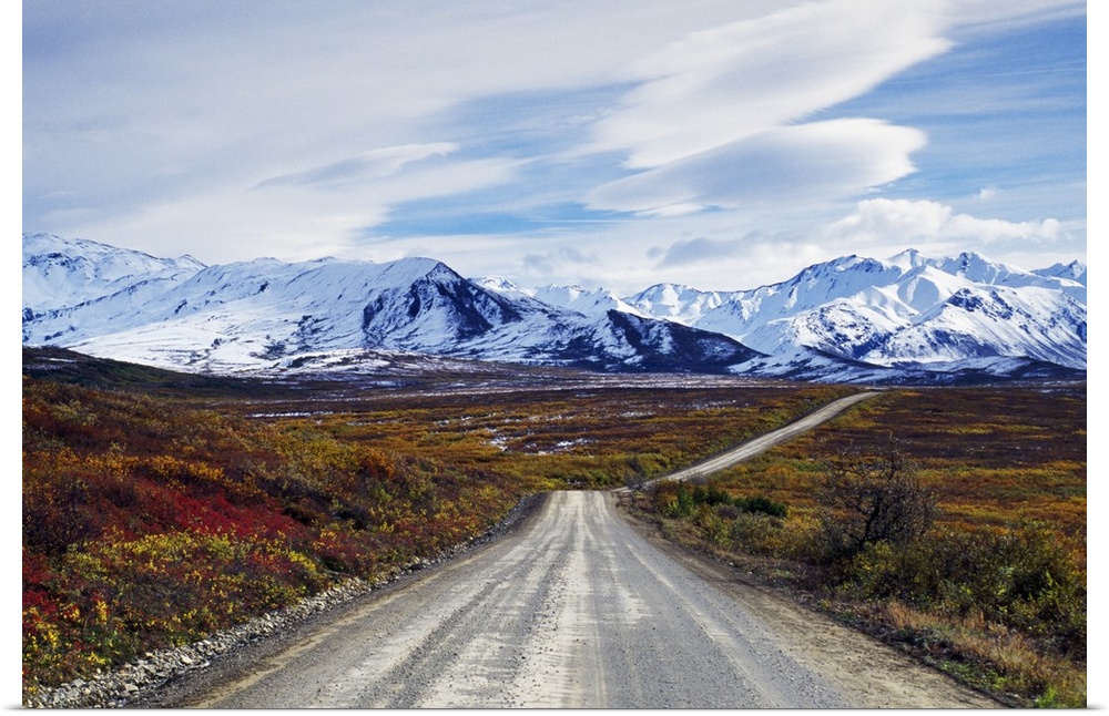Autumn color tundra along Denali National Park road, snow-capped mountains of Alaska Range, Alaska