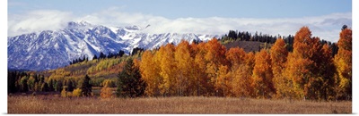 Autumn Grand Teton National Park WY