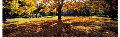 Autumn Holyoke MA