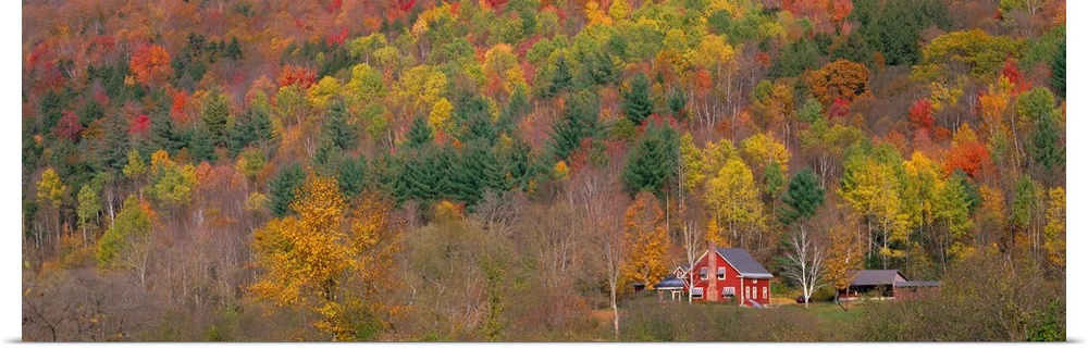 Autumn Scene near Woodstock Vermont