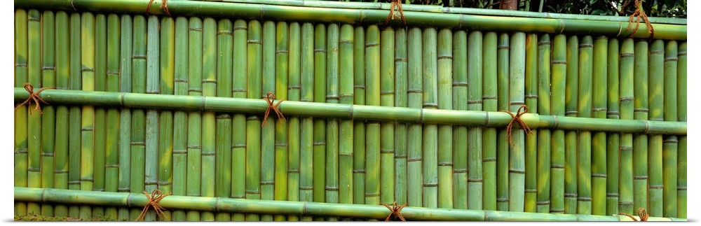 Bamboo Enclosure Ginkakuji Temple (Sakyo-ku) Kyoto Japan