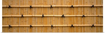 Bamboo Enclosure (Okusaga Ukyo-ku) Kyoto Japan