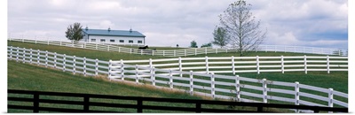 Barn and fences in a field, Lexington, Fayette County, Kentucky