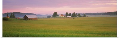 Barn and wheat field across farmlands at dawn, Finland