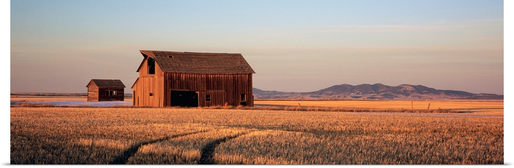 Panoramic photo of an old wood slat barn in the middle of a wide open field with the sun casting shadows as it sets.