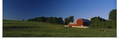 Barn in a field, Kent County, Michigan