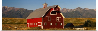 Barn in a field with Wallowa Mountains in background, Enterprise, Oregon
