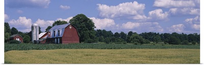 Barn on a landscape, Finger Lakes, Tompkins County, New York State