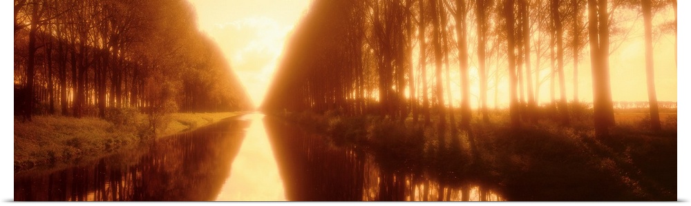 Belgium, tree lined waterway through countryside, sepia tone