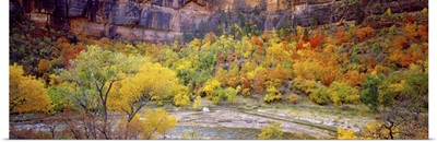 Big Bend in fall, Zion National Park, Utah