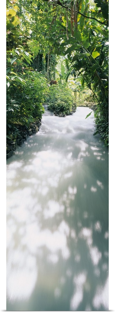 Blue Hole Gardens River, Negril, Jamaica