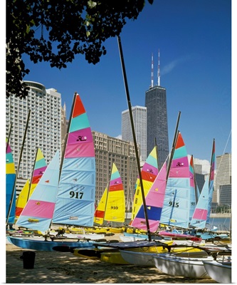 Boats docked at a harbor, Chicago, Cook County, Illinois