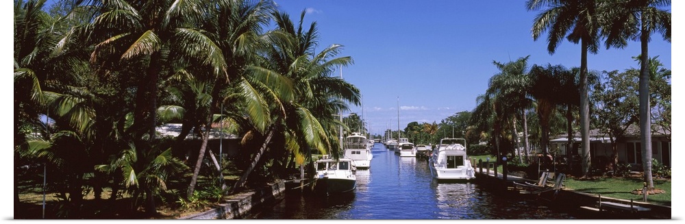Boats in a canal, Fort Lauderdale, Broward County, Florida