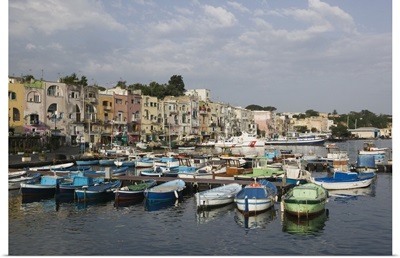Boats moored at a port, Procida, Naples, Campania, Italy