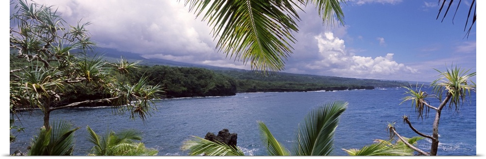 Panoramic photograph of the ocean under a cloudy sky seen from behind the leaves of a lush tropical forest.