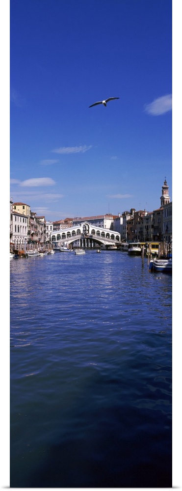 Bridge across a canal, Rialto Bridge, Grand Canal, Venice, Veneto, Italy