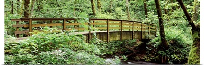 Bridge in a forest Bridal Veil Falls Oregon Columbia Gorge National Scenic Area Columbia River Gorge Oregon