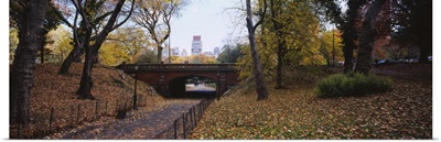 Bridge in a park, Central Park, Manhattan, New York City, New York State