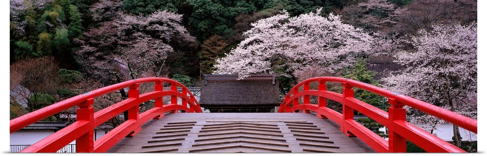 Photo print of flowering trees in Japan as seen from a bridge.