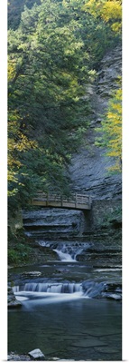 Bridge near a waterfall, Stony Brook State Park, Dansville, New York State