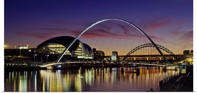 Bridges across a river, Tyne River, Newcastle Upon Tyne, Tyne And Wear, England